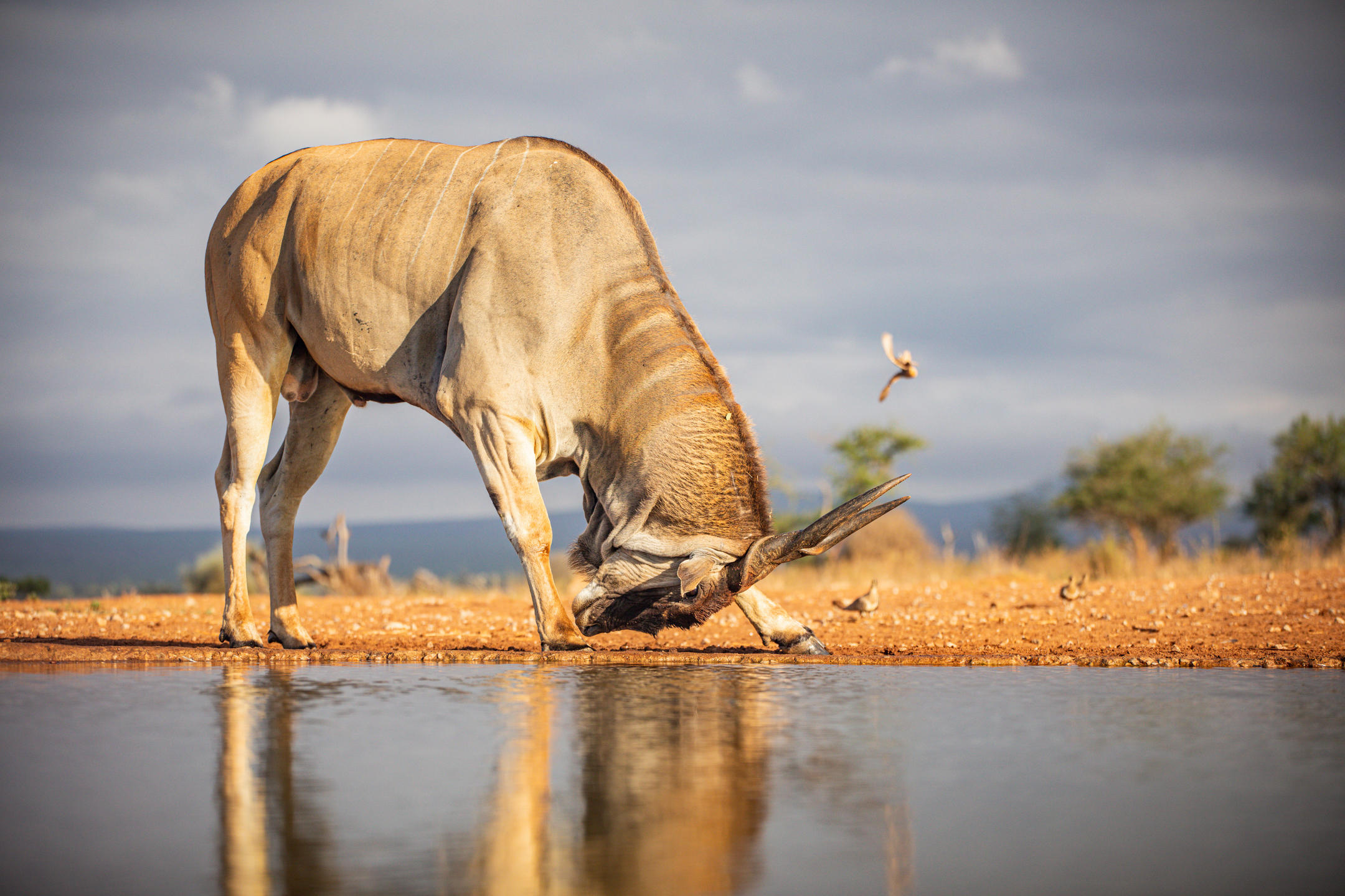 Kenya Soroi Collection: Luxury Beach & Safari