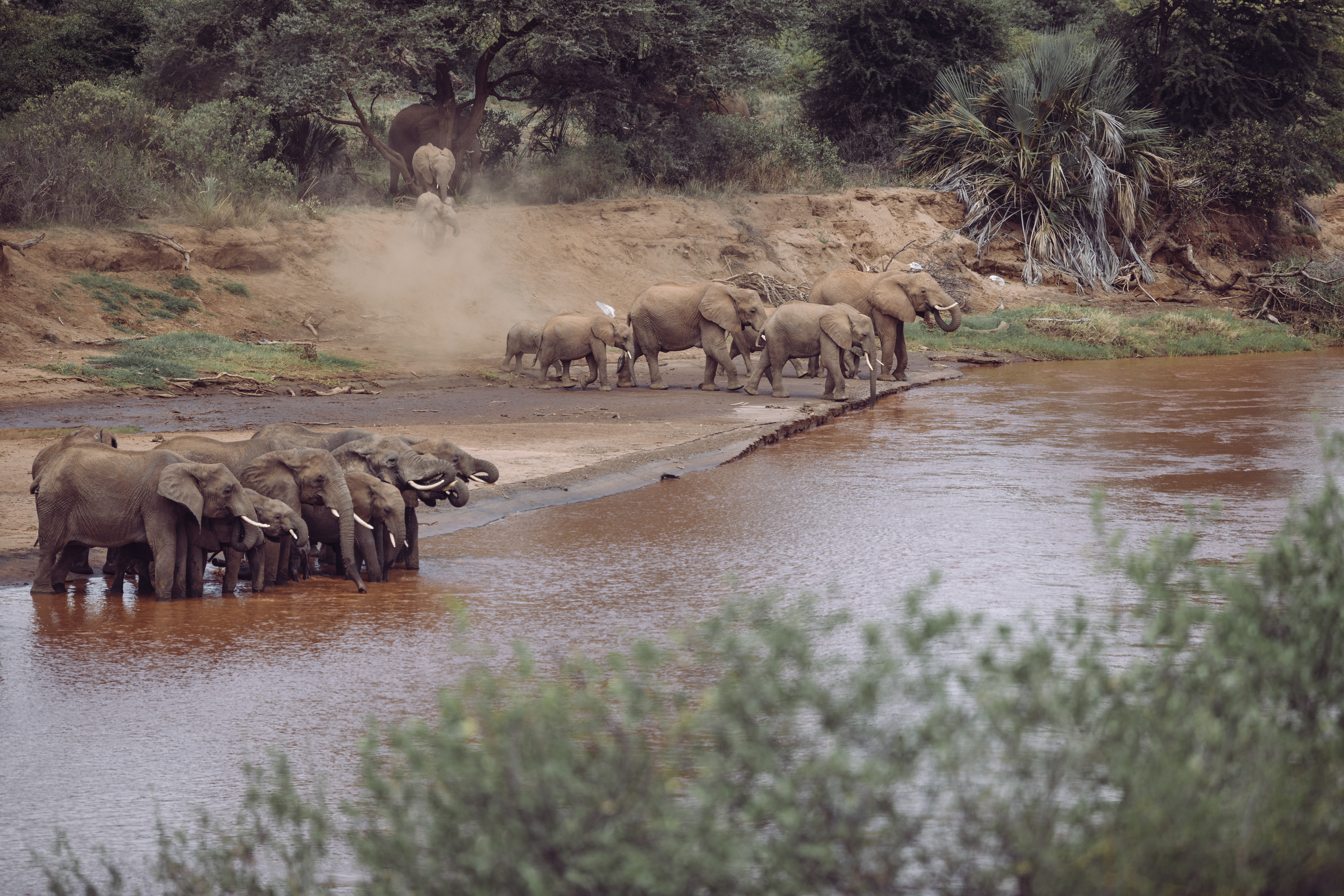 Kenya Luxury Flying Safari 