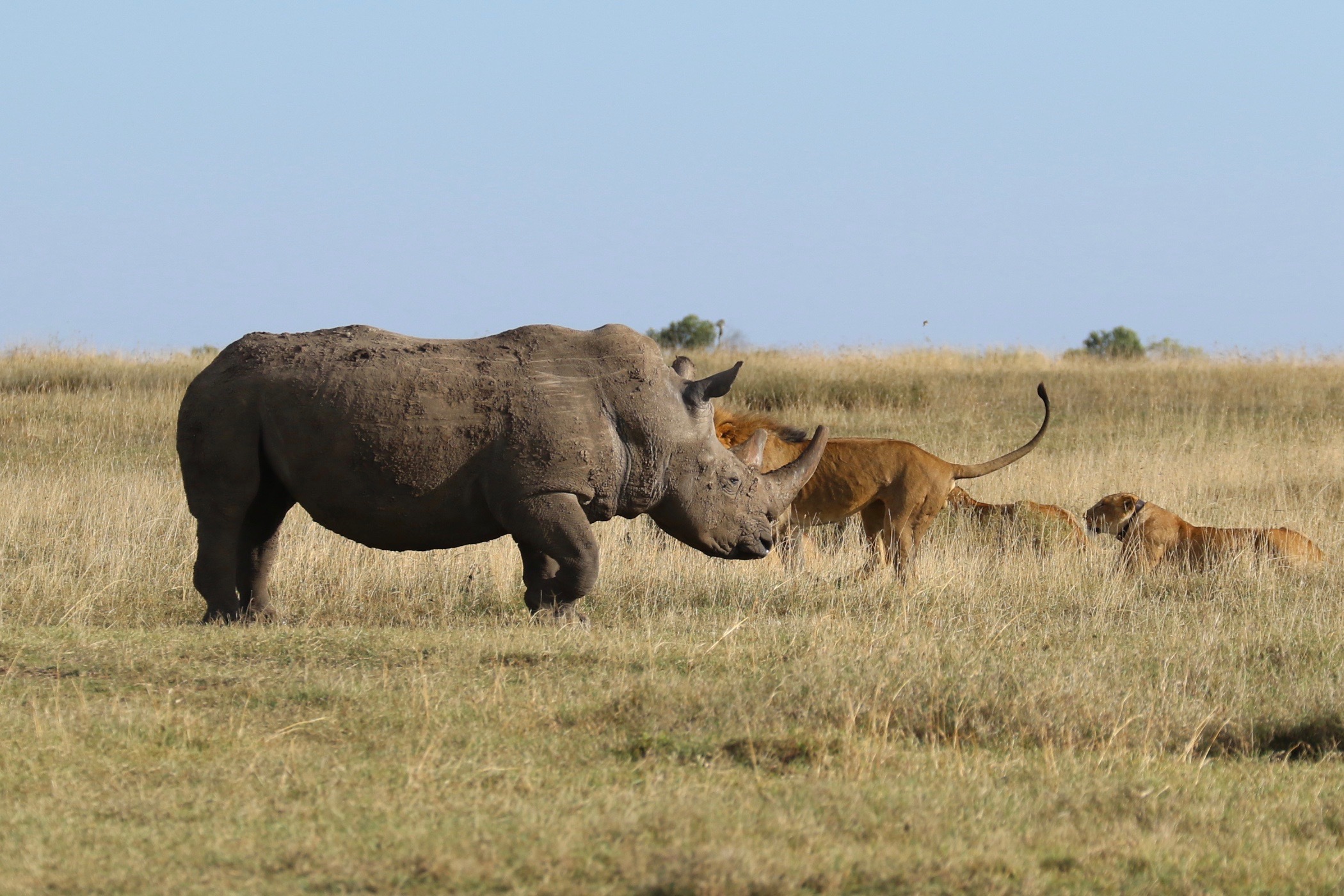 Kenya & Zanzibar: Family Half Term Getaway