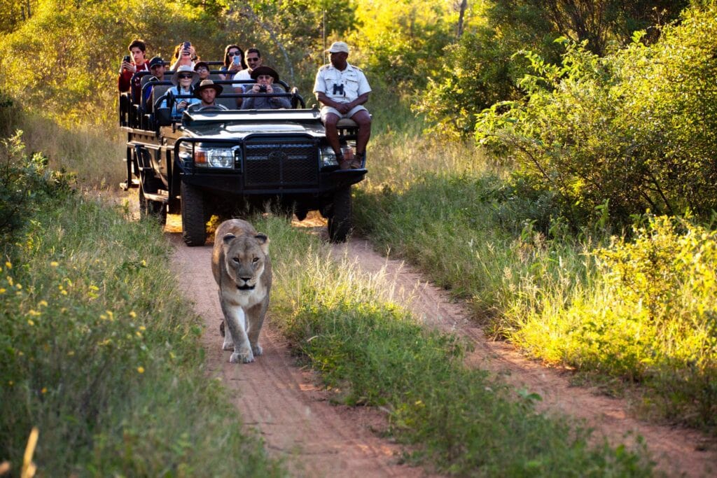 South Africa: Cape Town & Luxury Kruger Safari