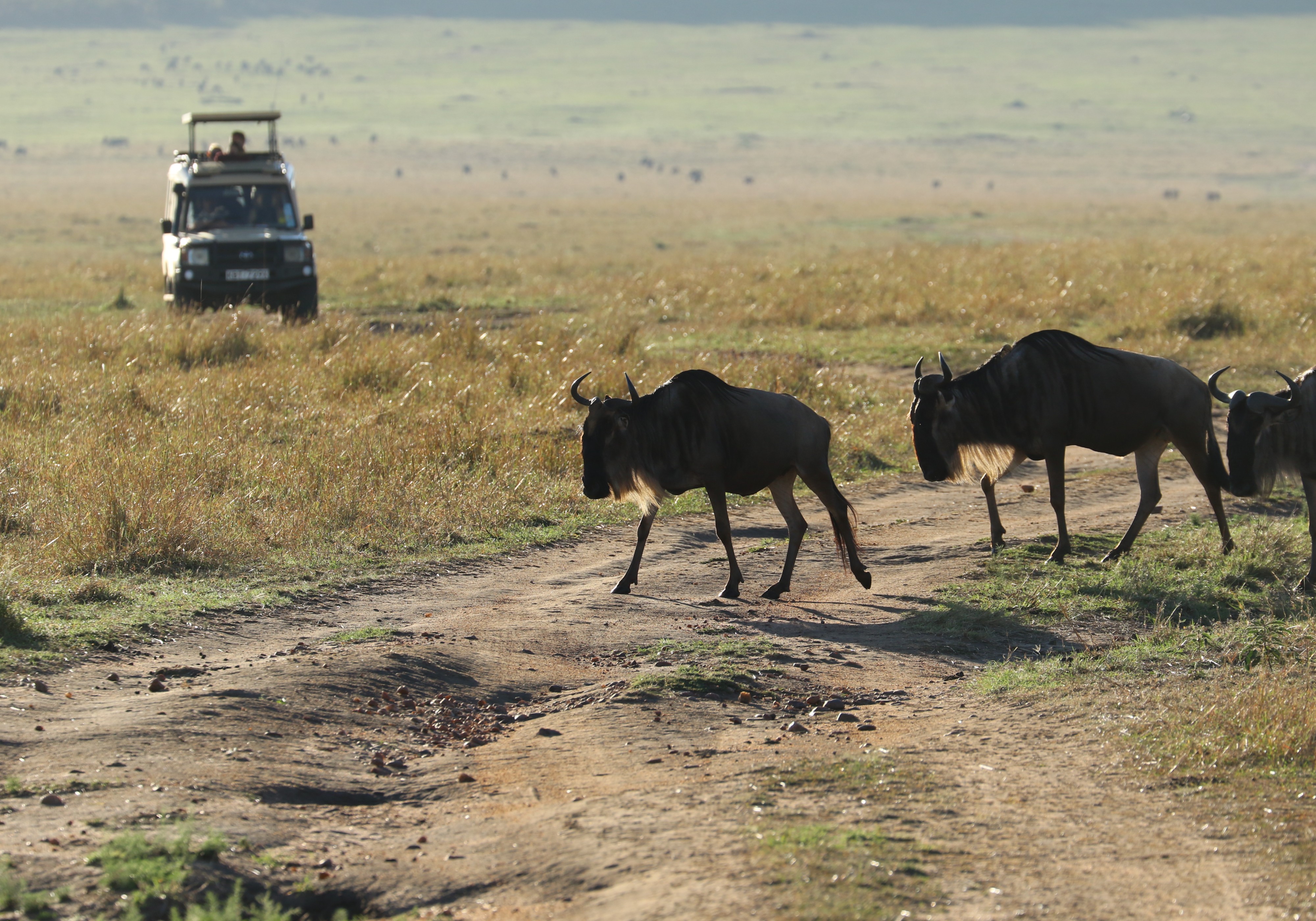 All-Inclusive Kenya Beach Holidays & Safari 