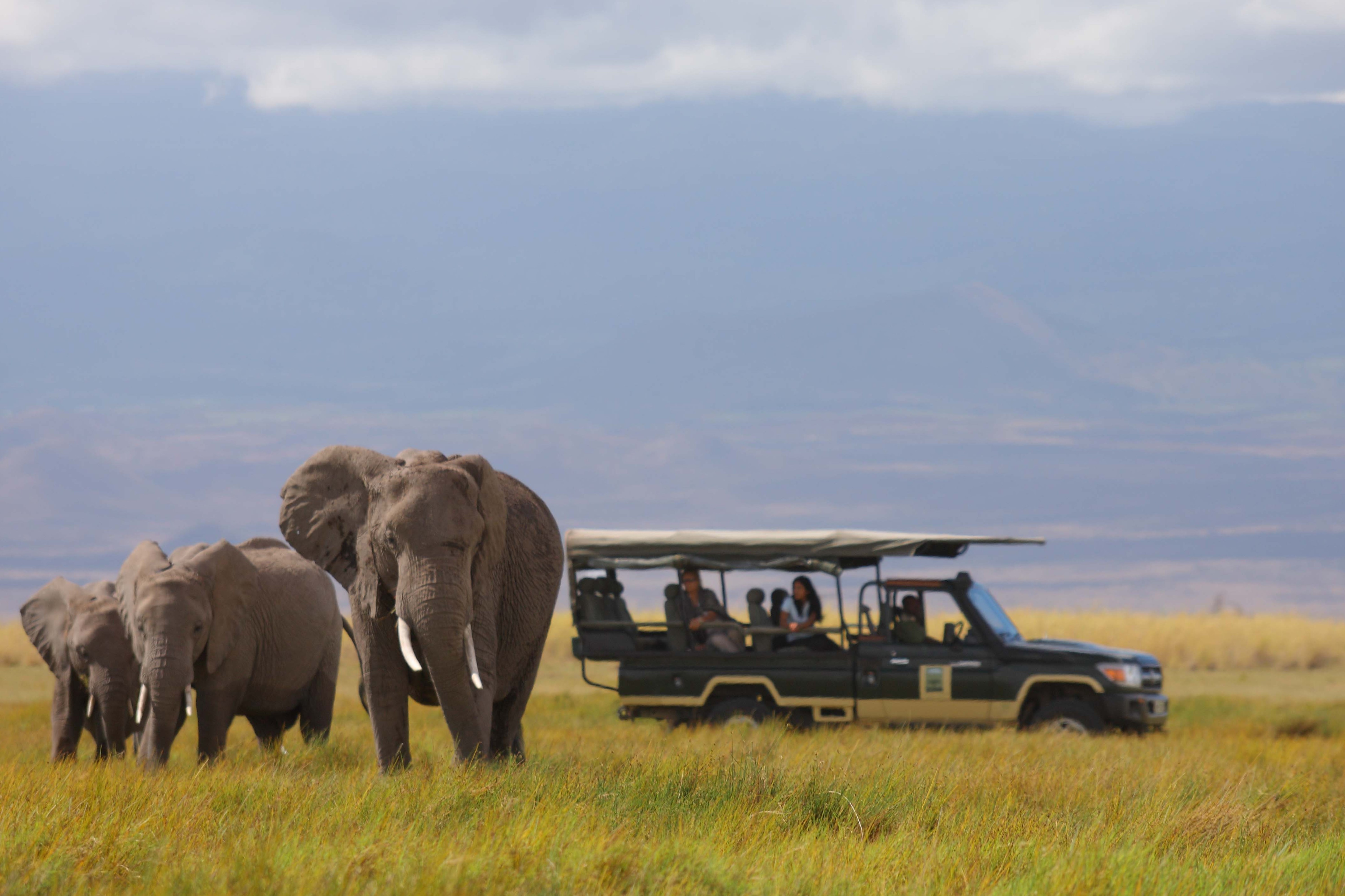 Experience Kenyan Safari & Watamu Beach