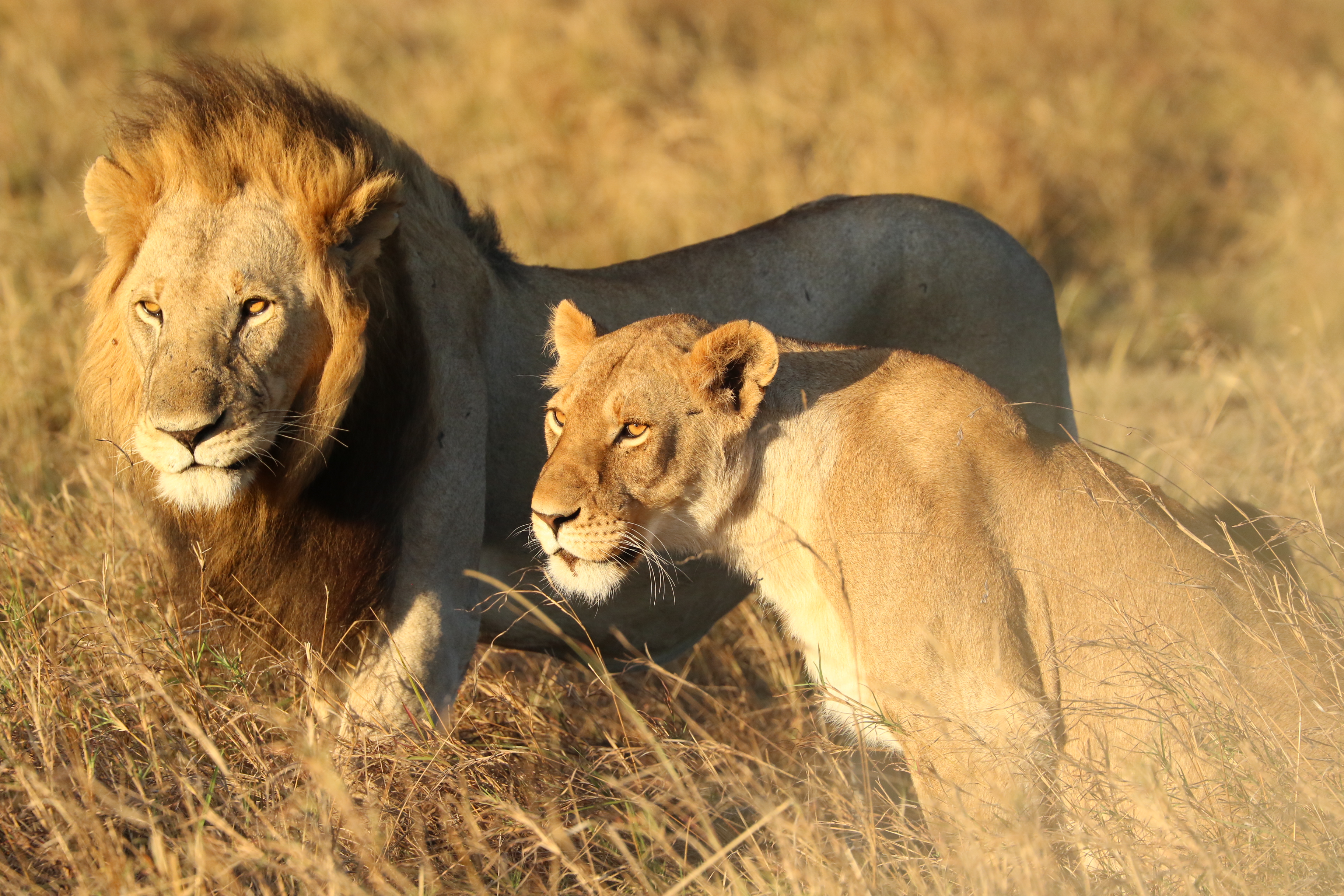 Family Easter Holidays: Kenya & Mauritius