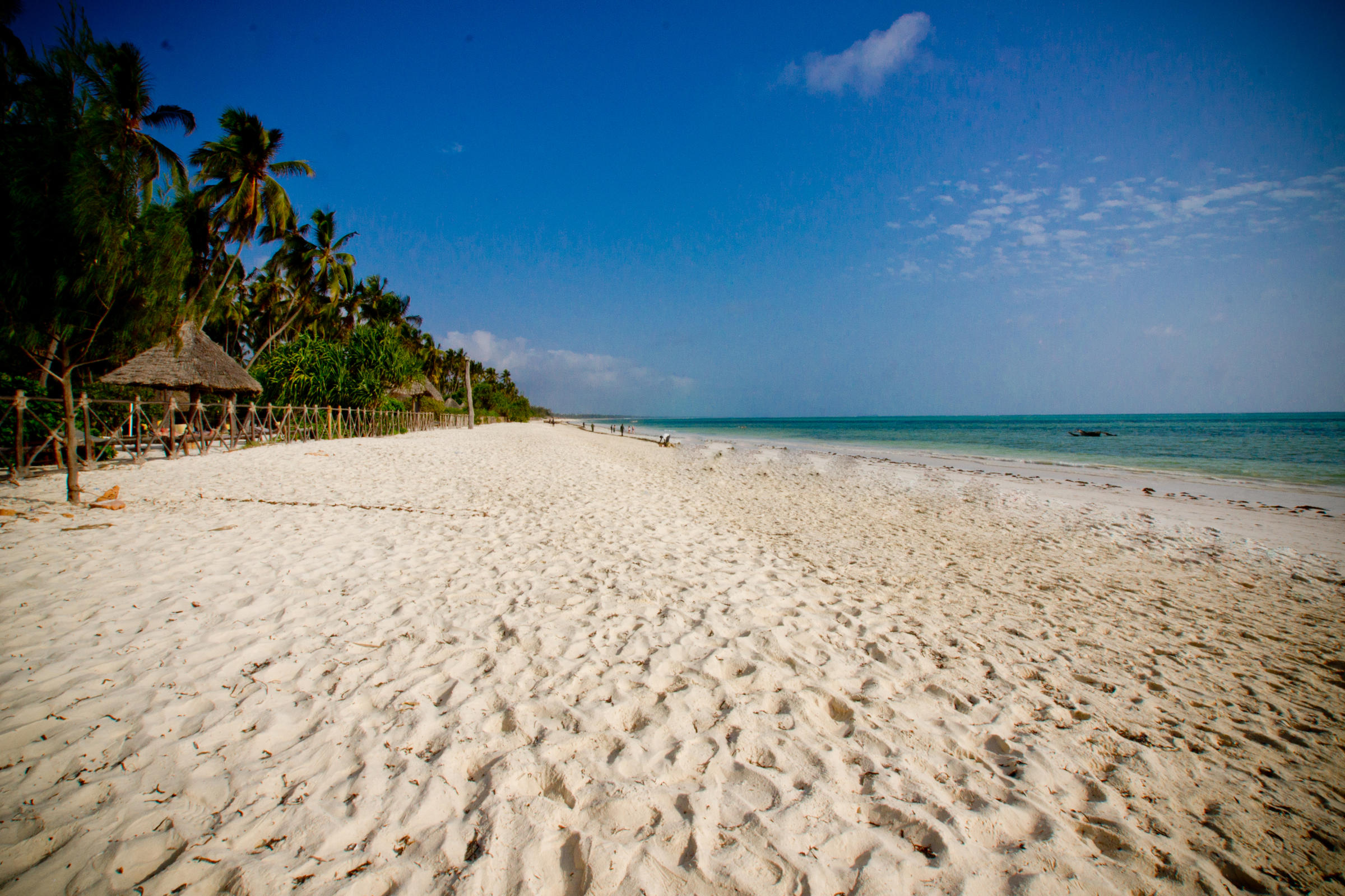 Zanzibar Beach & Selous Safari Holiday 