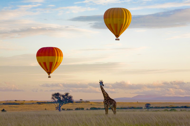 Kenya: Signature Luxury Safari with Balloon Flight