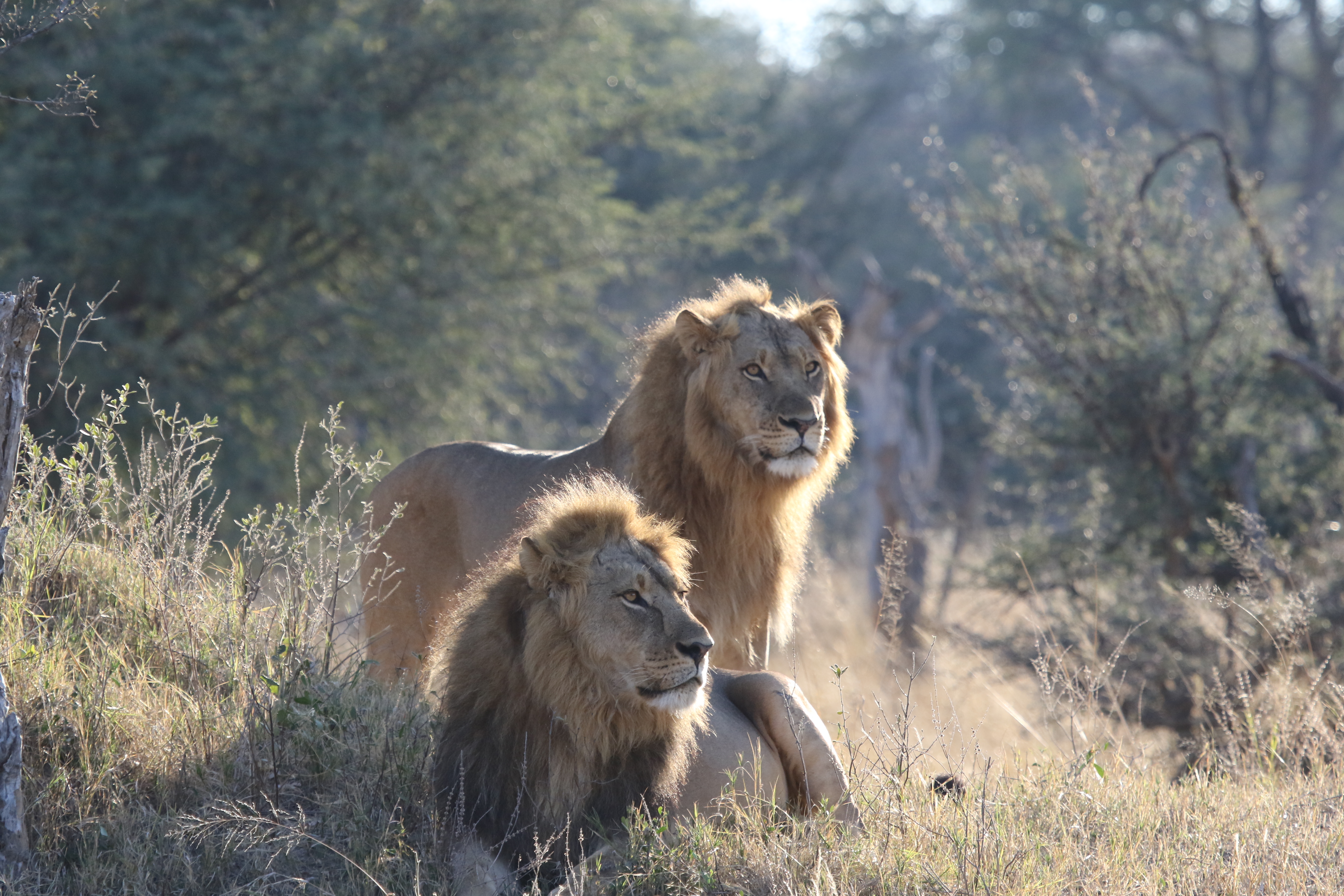 South Africa - From Wilderness to Winelands