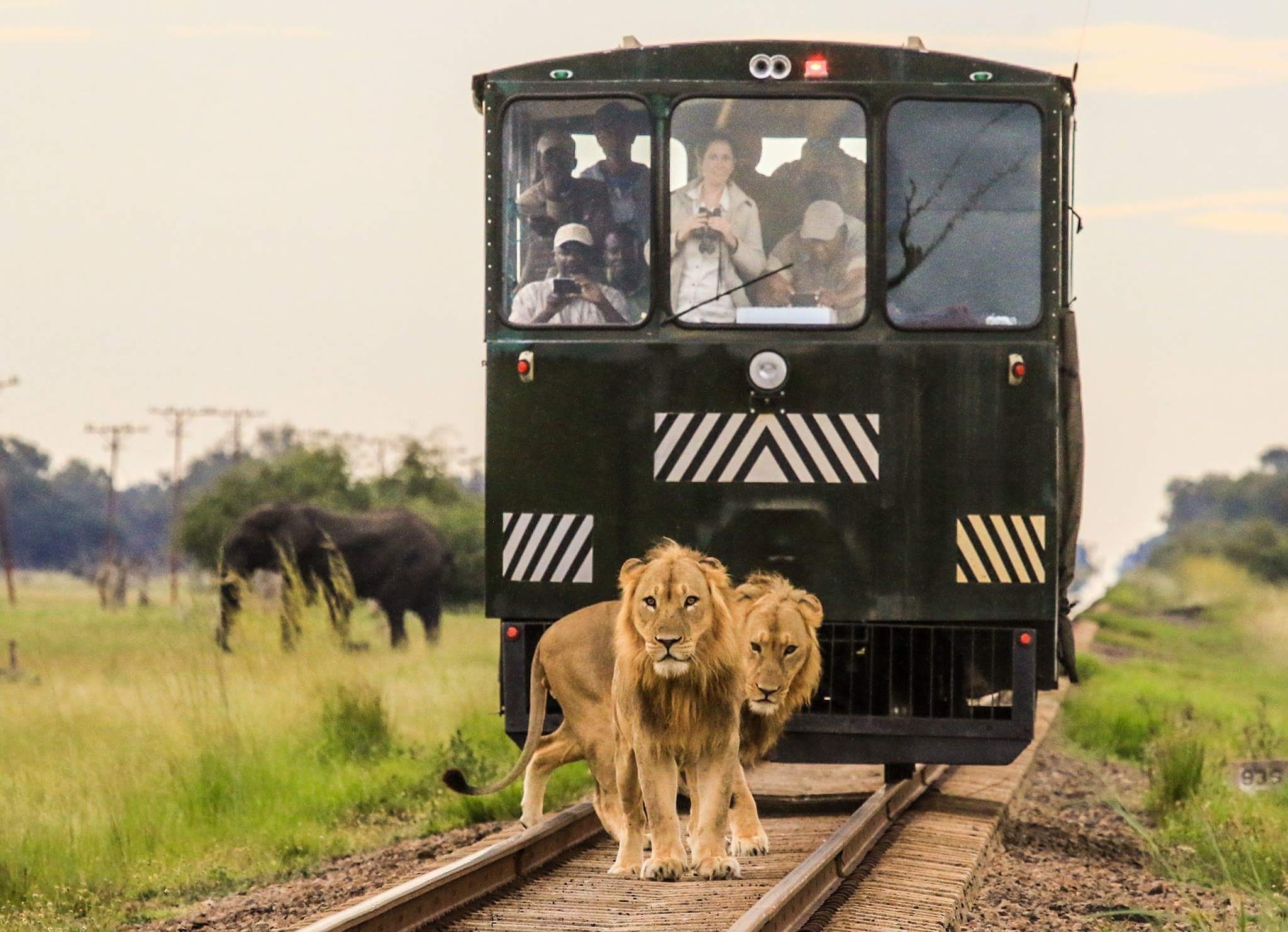 South Africa - From Wilderness to Winelands