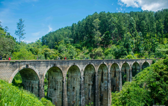 Sri Lanka: Highlands, Wildlife & Waves