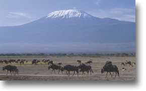 Mt Kilimanjaro