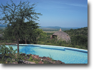 Serena Serengeti