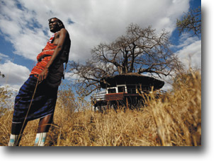 Tarangire Treetops