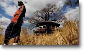 Elewana