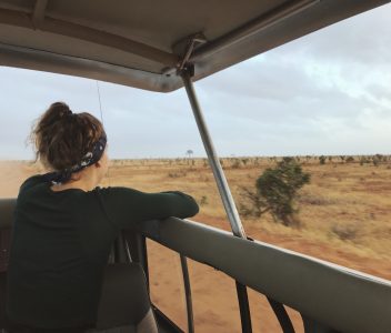 Looking over the African plains