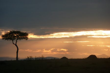 Sunset over the Kenyan plains