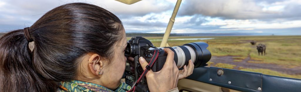 Woman taking photograph of elephants from a safari vehicle