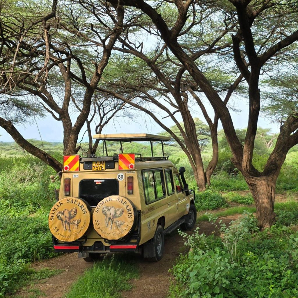 A classic safari vehicle