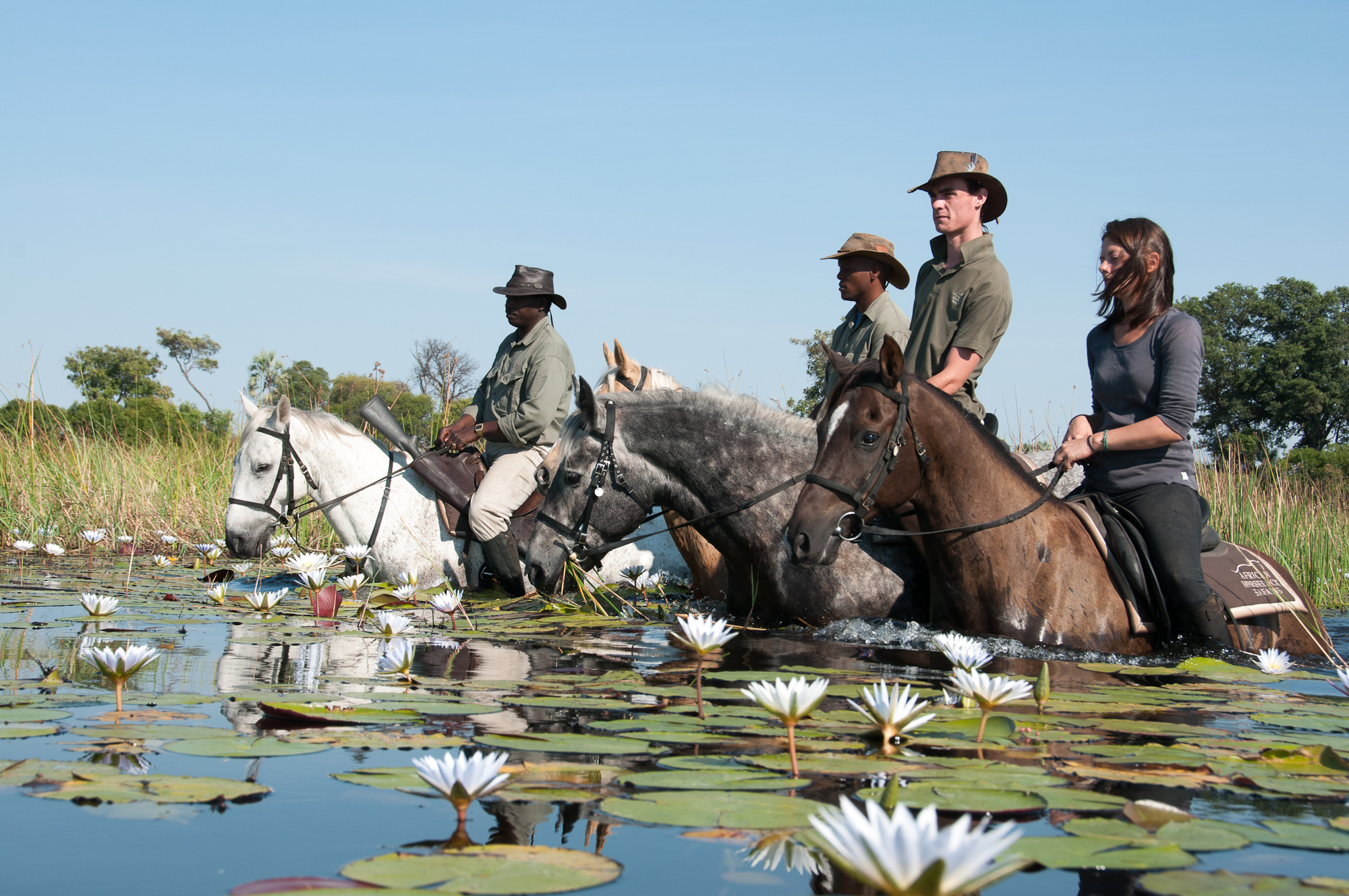 Some camps offer horseback water safaris in the Okavango Delta