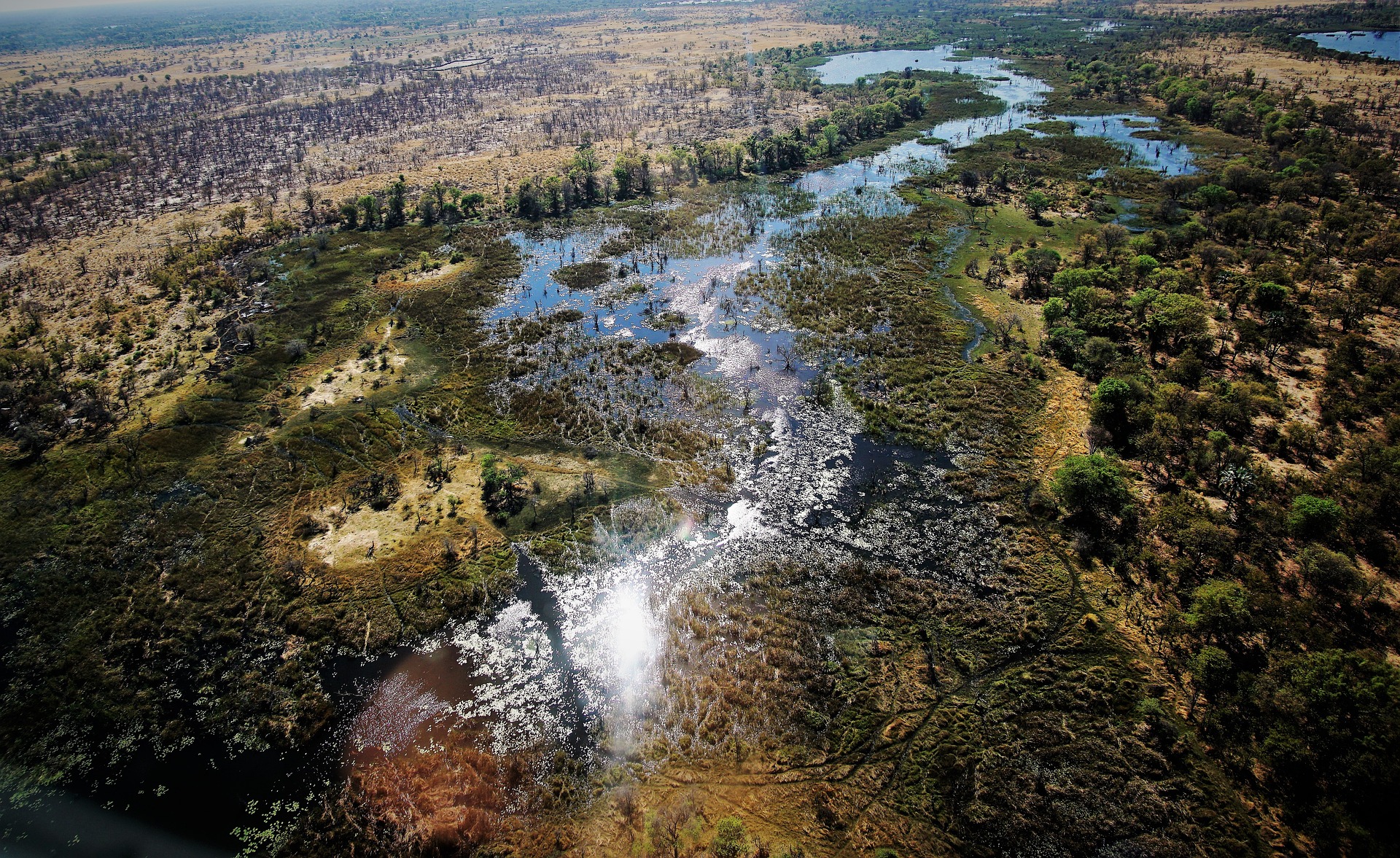 An aerial view of the Okovango Delta in Botswana