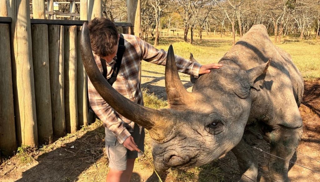 Liz's teenage son feeding Baraka the blind rhino at Ol Pejeta Conservancy during a family safari in Kenya with Somak Luxury Travel in August of 2026 Liz's teenage son feeding Baraka the blind rhino at Ol Pejeta Conservancy during a family safari in Kenya with Somak Luxury Travel in August of 2026